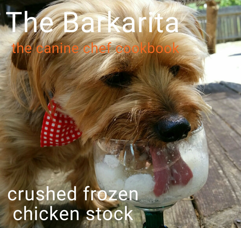 Barkaritas, a Margarita Recipe for Dogs