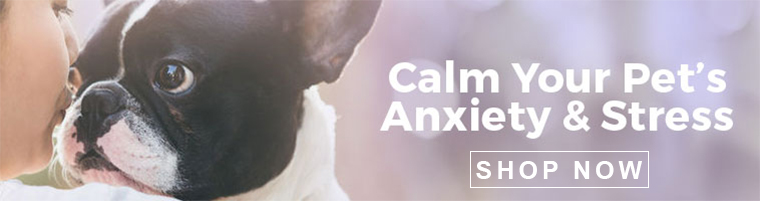 Calm Your Pet's Anxiety & Stress Show Now Banner