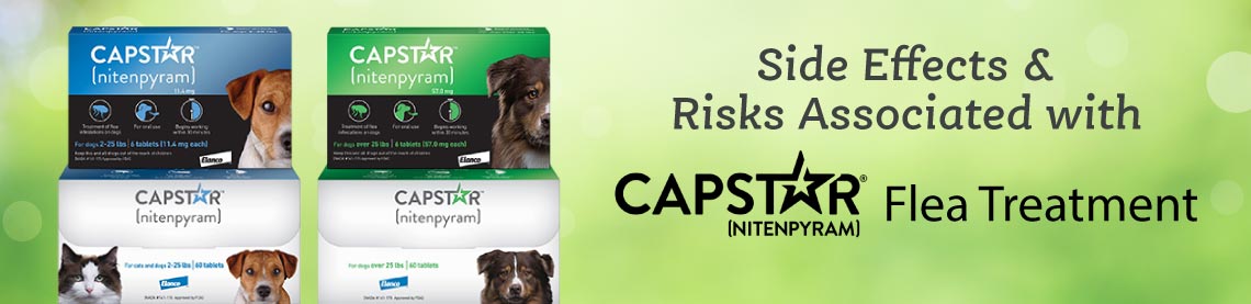 Side Effects and Risks Associated with CAPSTAR Treatment