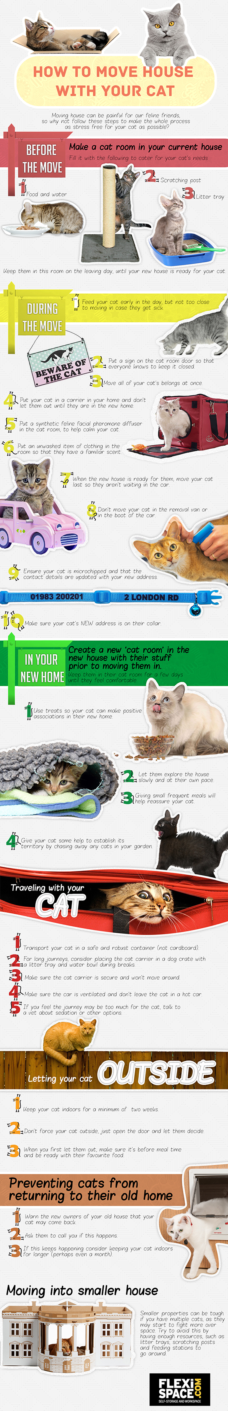 How-To-Move-House-With-Your-Cat
