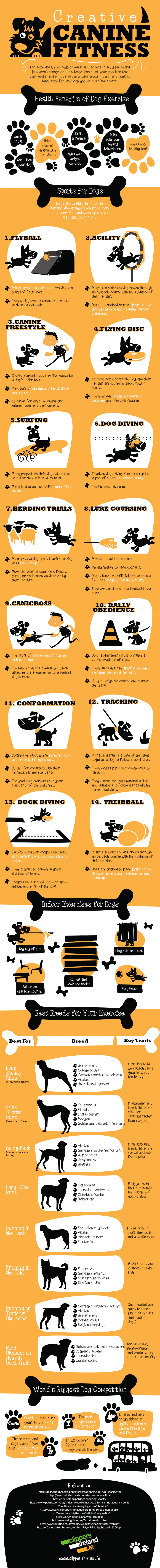Creative Canine Fitness