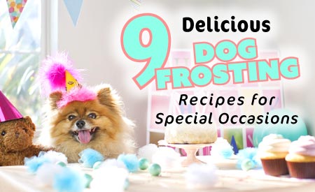Dog Birthday Food