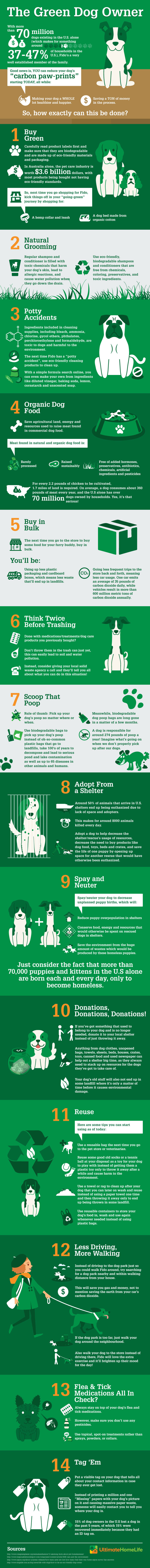 Going Green With Your Pet / Infographic