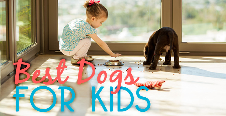 Top 5 Best Breeds for Kids