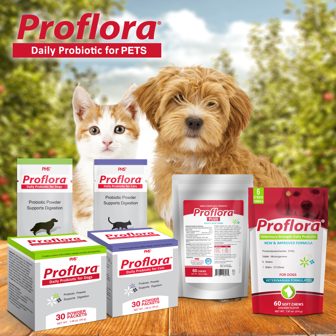 Proflora Daily Probiotic for PETS