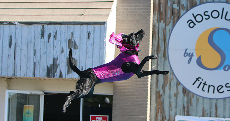 Top 10 Places to Take Your Pet on the West Coast