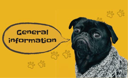 general information