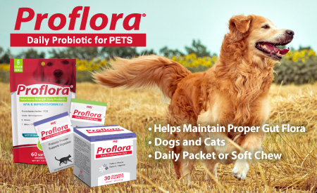 Proflora