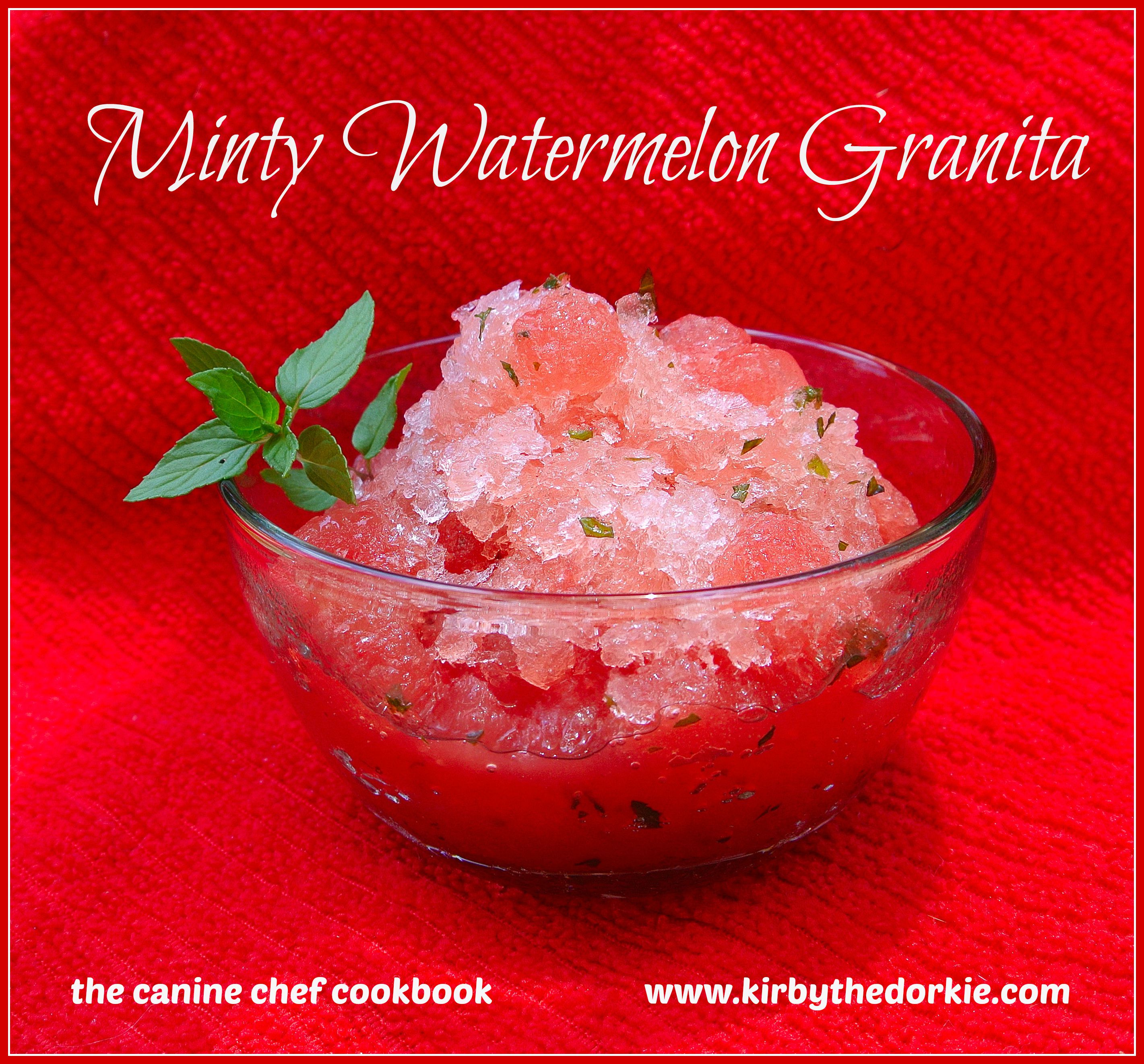 Minty Watermelon Granita Dog Treat Recipe
