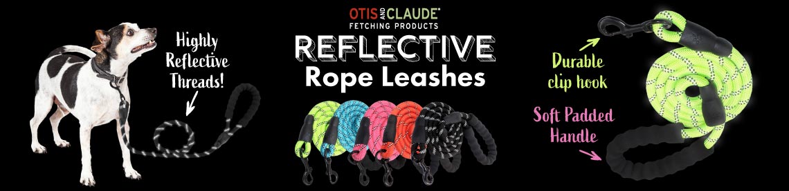 Otis and Claude Leashes