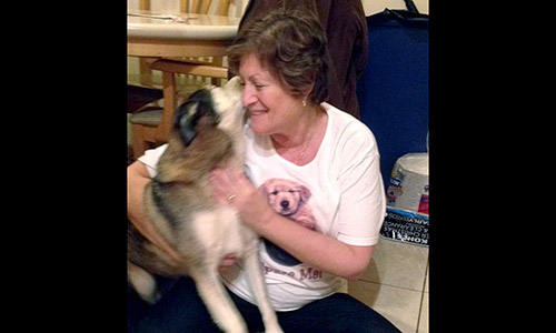 Pet of the Week