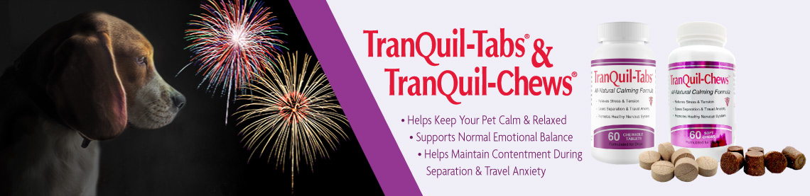 beagle and fireworks and TranQuil-Tabs and Tranquil-Chews