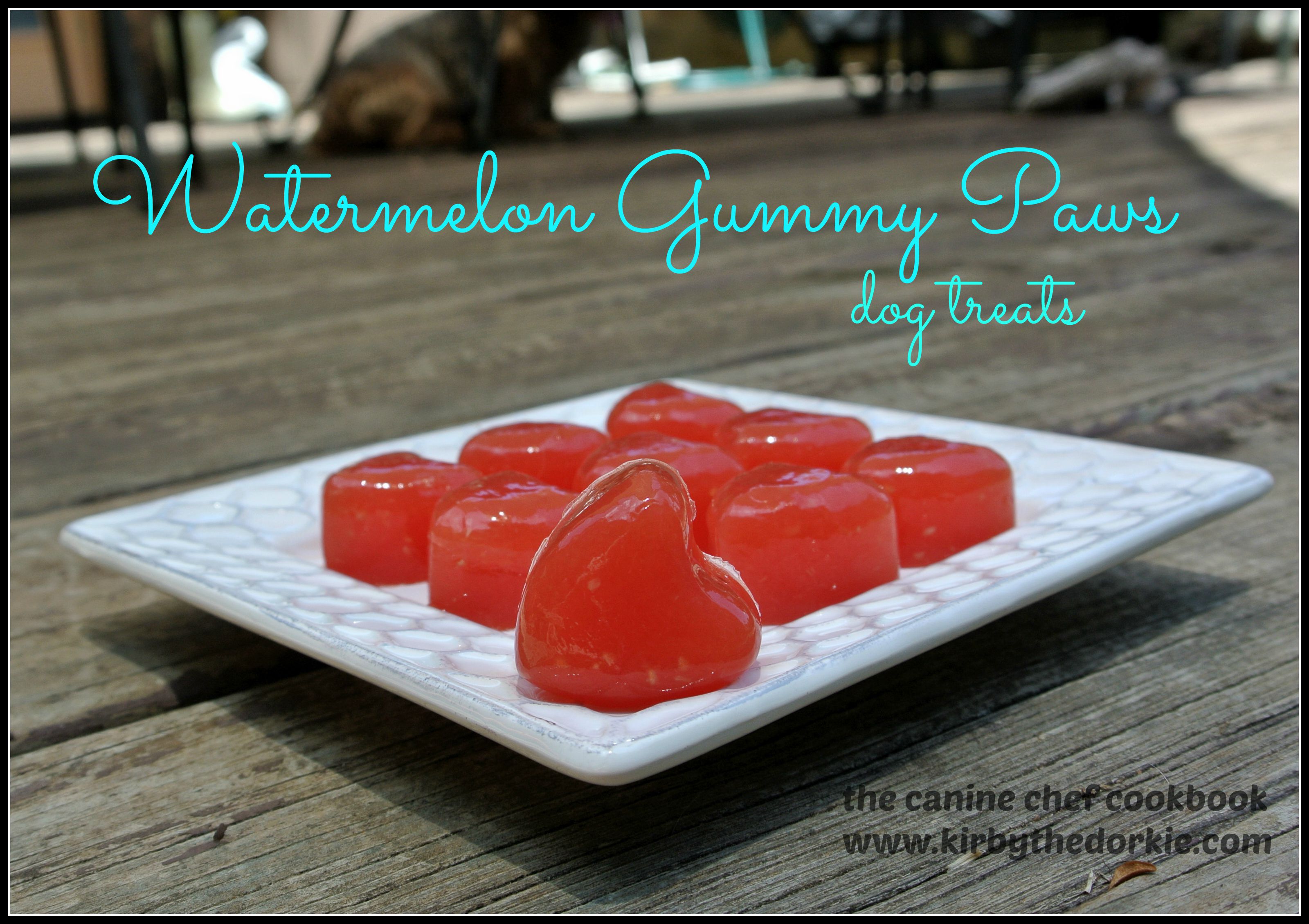 Watermelon Gummy Paws Dog Treats Recipe