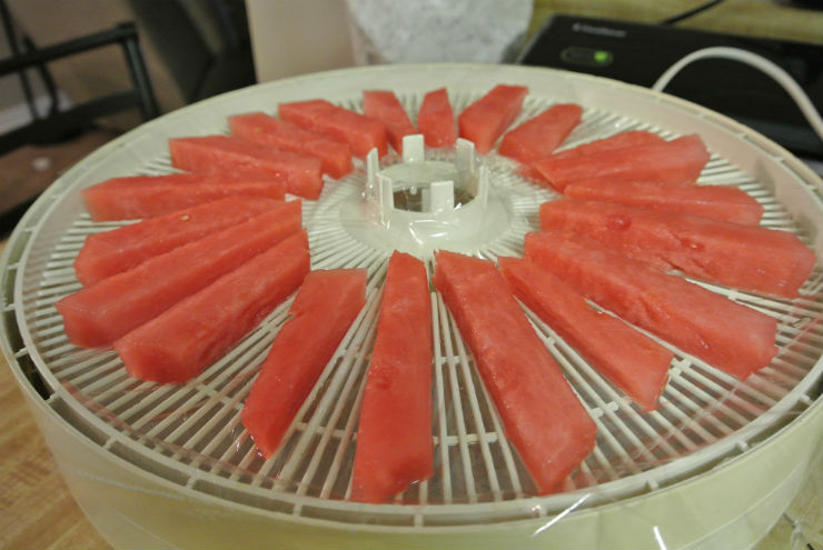 Watermelon Dog Taffy Treats Recipe