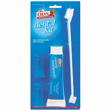 8 in 1 D.D.S. Dental Kit