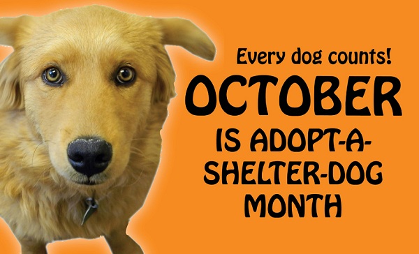Adopt a Shelter Dog Month