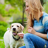 link to Do's & Don'ts of a New Pet and Kids