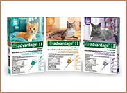 Advantage II for Cats