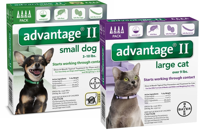 Advantage Flea Control