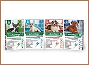 Advantage II for Dogs