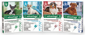 Advantage II