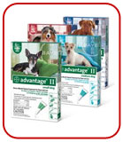 Advantage® II for Dogs
