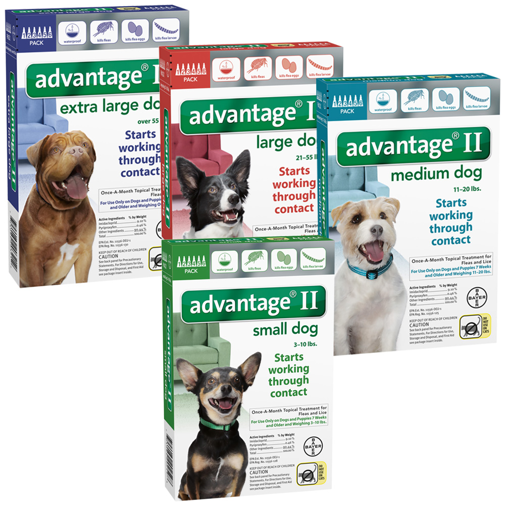 Advantage Flea Control