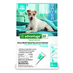 Advantage Flea Control