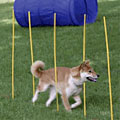 Dog Agility Kit