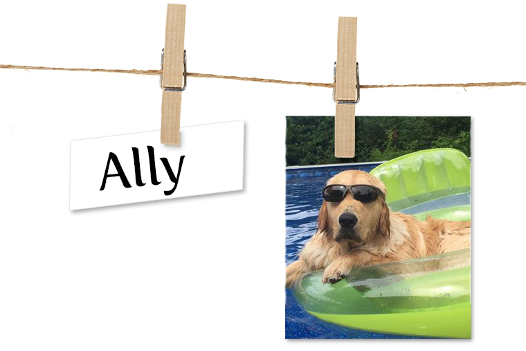 Pet of the Week