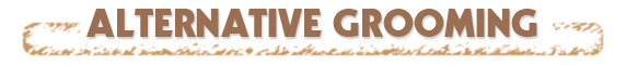 Alternative Grooming