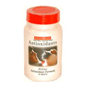 antioxidant