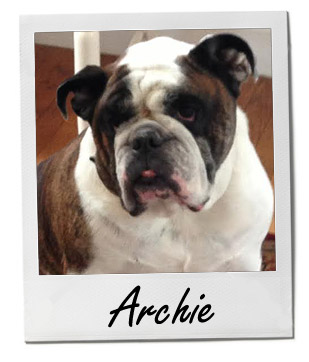 Pet of the Week photo