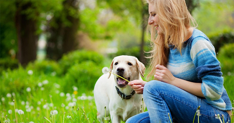 Are You Ready For A New Pet? 