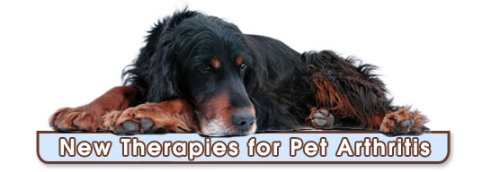 Arthritis Banner