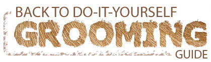 Back to the Do-It-Yourself Grooming Guide!