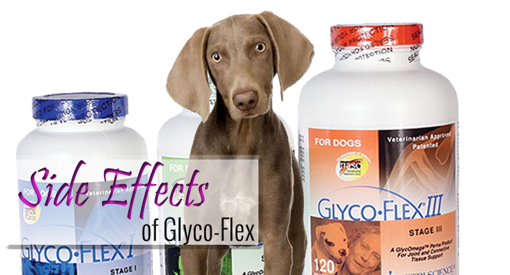 Side Effects of Glyco-Flex