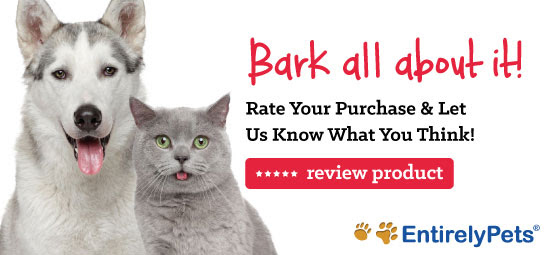 Top 10 Places to Take Your Pet on the West Coast 1