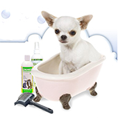 link to Tips for Bathing Your Dog