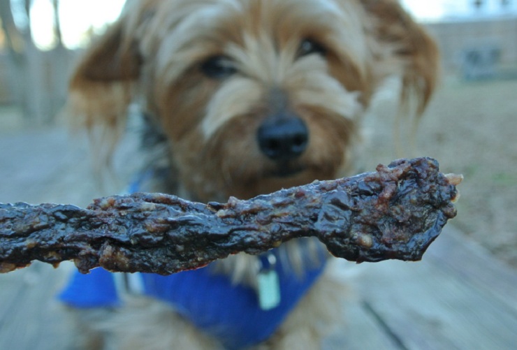Beef Jerky Recipe for Dogs