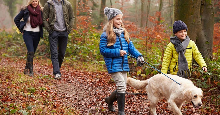 A image of a family walking with a dog in te forest