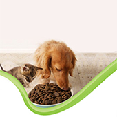 link to Best Food Toppers