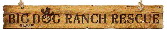 Big Dog Ranch Rescue logo