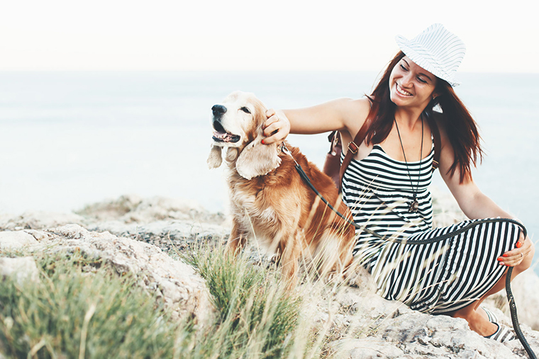 Summer doge