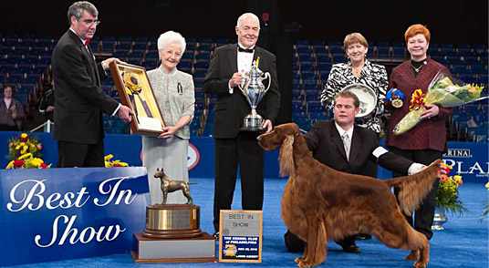 2010 National Dog Show Winner!