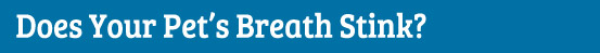 Does your pet's breath stink?