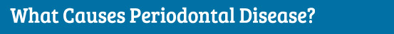 What Causes Periodontal Disease?