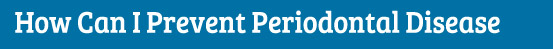 How can I prevent periodontal disease