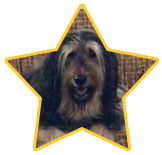 Buck Bundy (Married With Children)