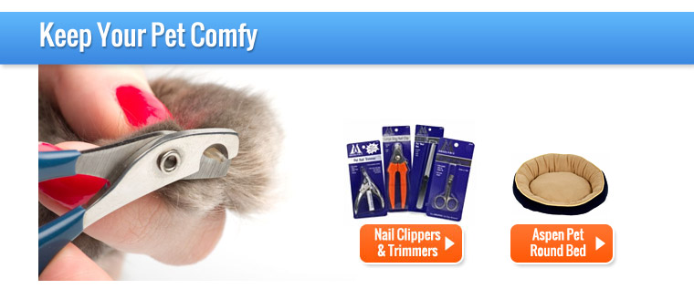 Keep Your Pet Warm & Cozy While Indoors